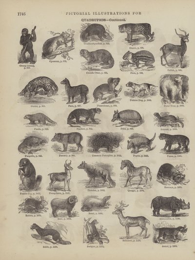 Page du dictionnaire complet de Webster (George Bell) - American School