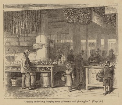 "Passant sous de longues rangées suspendues de bananes et de pommes de pin" (gravure) - American School