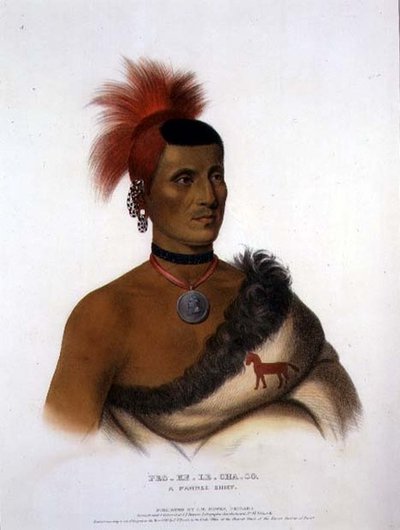 Pes-Ke-Le-Cha-Co, un chef Pawnee, pub. par J. T. Bowen (1801-c.1856) 1841 - American School