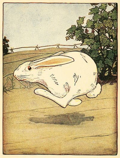 Pierre ne cessa de courir, du Conte de Pierre Lapin, pub. 1916 lithographie en couleur, 1916 - American School