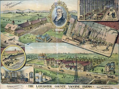 Plan des fermes de vaccins du comté de Lancaster, Nebraska - American School