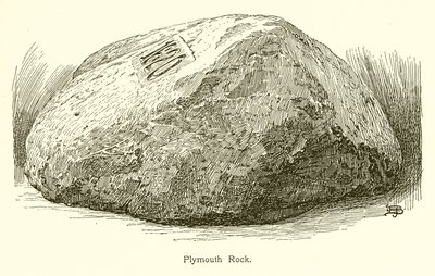 Plymouth Rock - American School