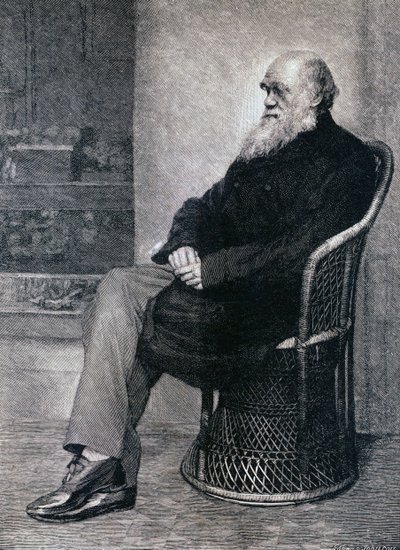 Portrait de Charles Darwin - American School
