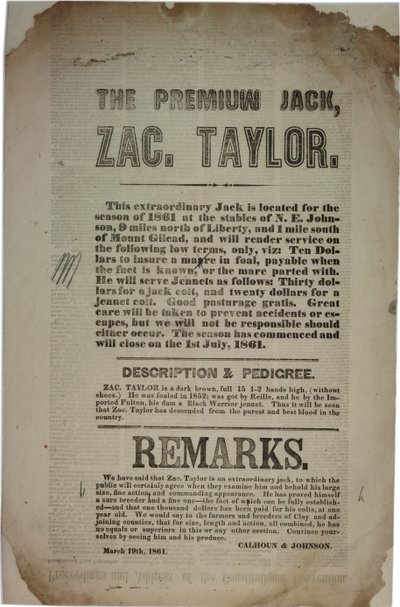 Procédures et adresse de la Convention constitutionnelle, c.19 mars 1861 - American School