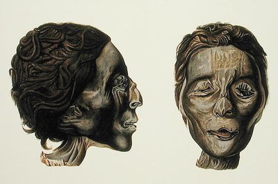 Profil et visage d
