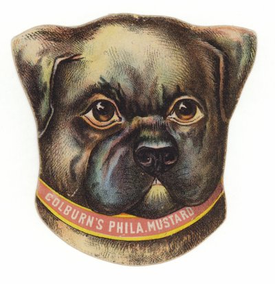 Tête de chien carlin - American School