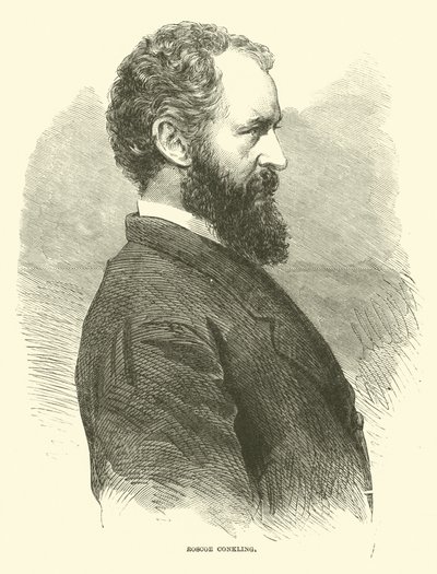 Roscoe Conkling, janvier 1866 - American School