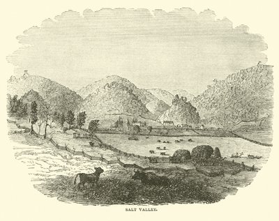Vallée de Sel, décembre 1864 - American School