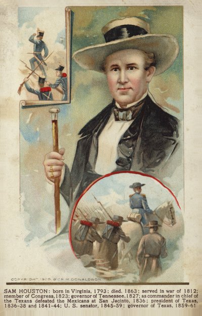 Sam Houston - American School