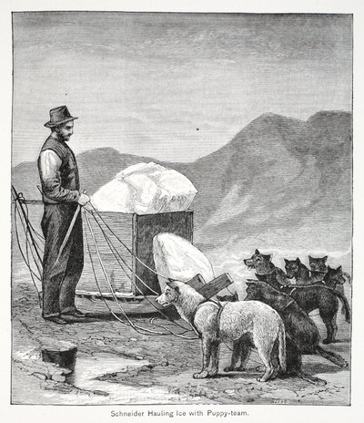 Schneider transportant de la glace avec l