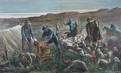 Massacre de moutons pendant la guerre des pâturages de Pleasant Valley, Arizona - American School
