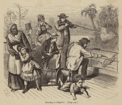 Tir sur des alligators - American School