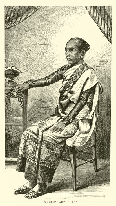 Dame de rang siamoise - American School