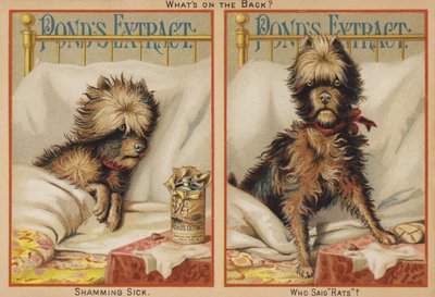 Chien malade au lit - American School