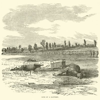 Site d