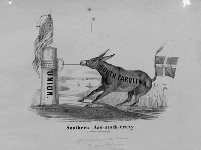 Folie des ânes du Sud - American School