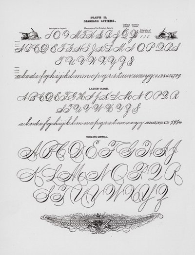 Lettres standard ; Main de dame ; Capitales de bras entier - American School