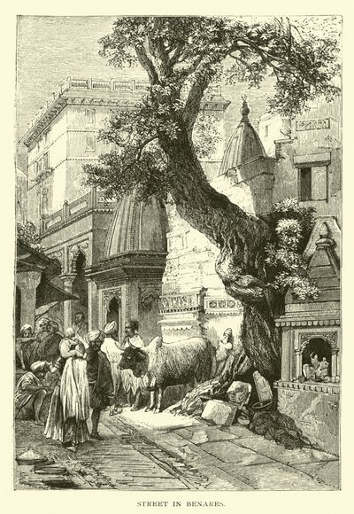 Rue à Bénarès - American School