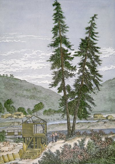 Moulin de Sutter - American School