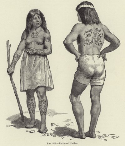 Haidas tatoués - American School