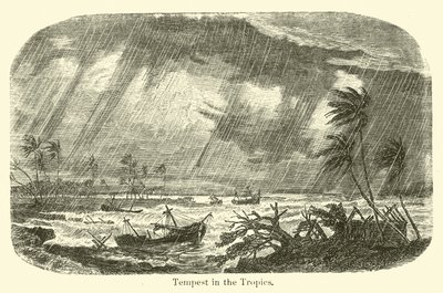 Tempête dans les tropiques - American School