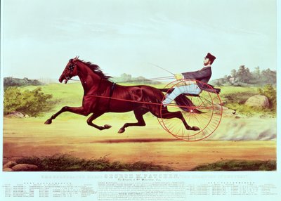 Le Cheval Célèbre, George M. Patchen, Le Champion du Turf, gravé par Nathaniel Currier et James Merritt Ives, 1860 - American School