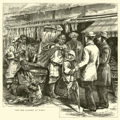 Le marché aux poissons de Tokyo - American School