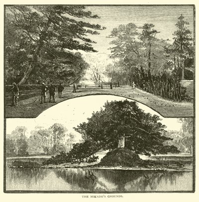 Les terrains du Mikado - American School