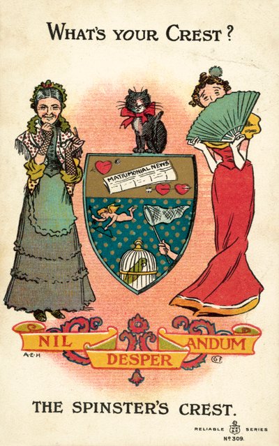 Blason des célibataires, Nil Desperandum - American School