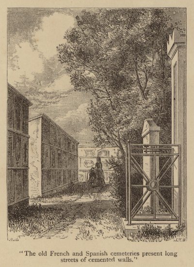Les vieux cimetières français et espagnols présentent de longues rues de murs cimentés - American School