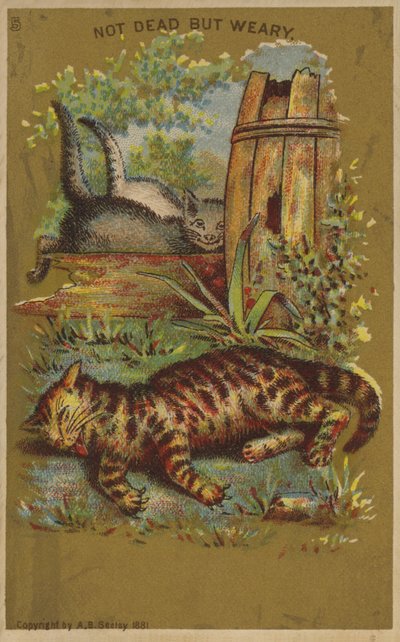 Trois chats fatigués - American School