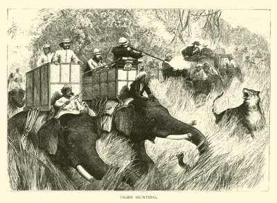 Chasse au tigre - American School