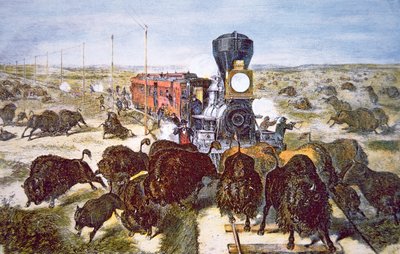 Passagers de train sur le chemin de fer Kansas Pacific, chassant le bison pour le sport dans les années 1870 - American School