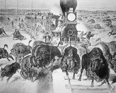 Passagers du train sur le chemin de fer Kansas Pacific, tirant sur des buffles pour le sport dans les années 1870 - American School