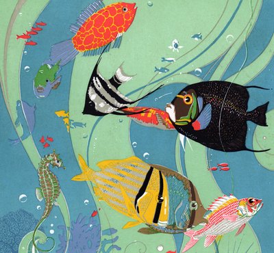 Poissons Tropicaux d