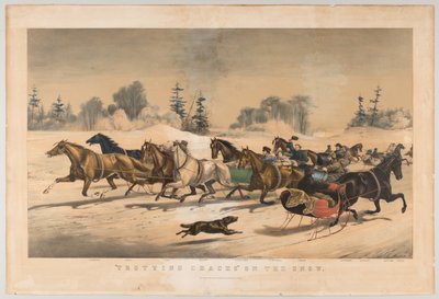 Courses de trot sur la neige - American School