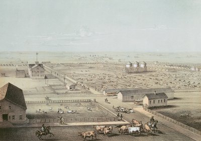 Union Stockyards, Chicago - American School