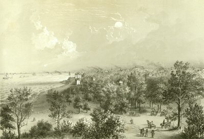 Vue de Lake View House, de Chicago Illustrated, avec descriptions littéraires par James W. Sheahan, publié par Jevne & Almini, Chicago, 1866-67 - American School