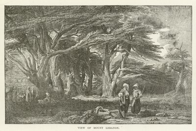 Vue du mont Liban - American School