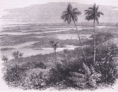 Vue des Bermudes, illustration de Cassell
