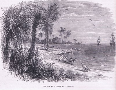 Vue de la côte de la Floride, illustration de l