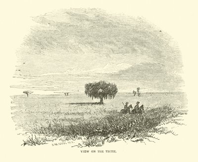 Vue sur le Teche, avril 1863 - American School
