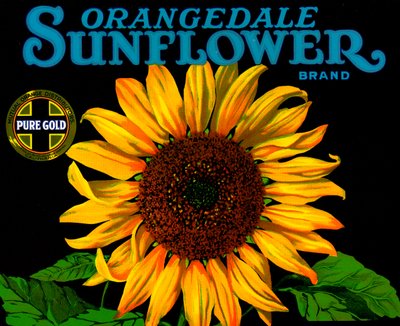 Étiquette de caisse de fruits vintage avec tournesol - American School