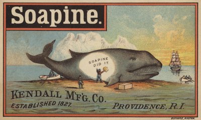 Laver la baleine - American School