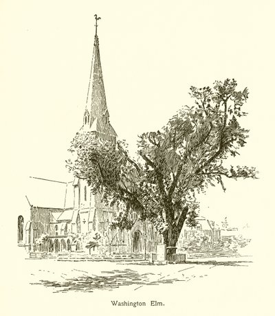 Orme de Washington, Cambridge - American School