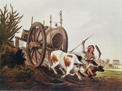 Chariot d
