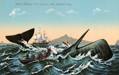 Baleiniers harponnant un cachalot au large de New Bedford, Massachusetts - American School