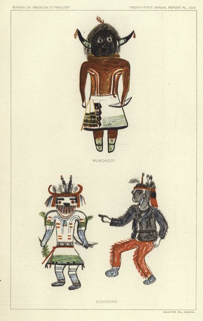Wukokoti, Kohonino (lithographie couleur) - American School