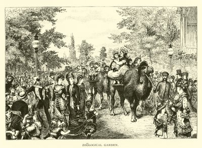 Jardin Zoologique - American School