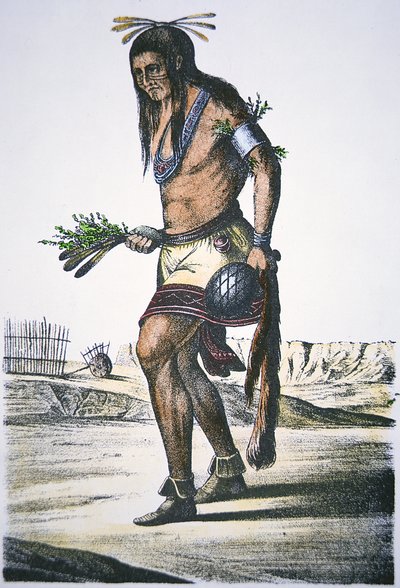 Tribal Zuni - American School